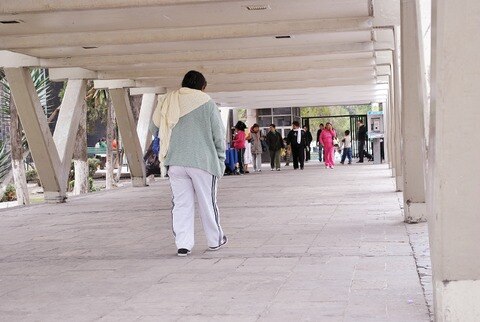 En el  IMSS van 179 amputados por diabetes