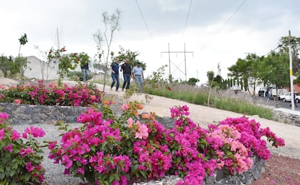 Entregan 16 mil metros de pulmón urbano