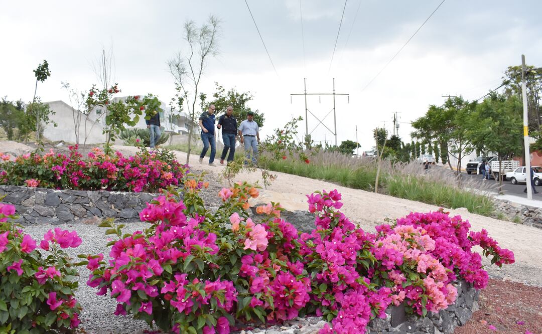 Foto: ARCHIVO. EL UNIVERSAL