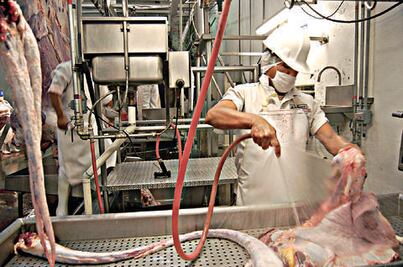 Requieren 3.5 mdp para mejorar rastro en SJR