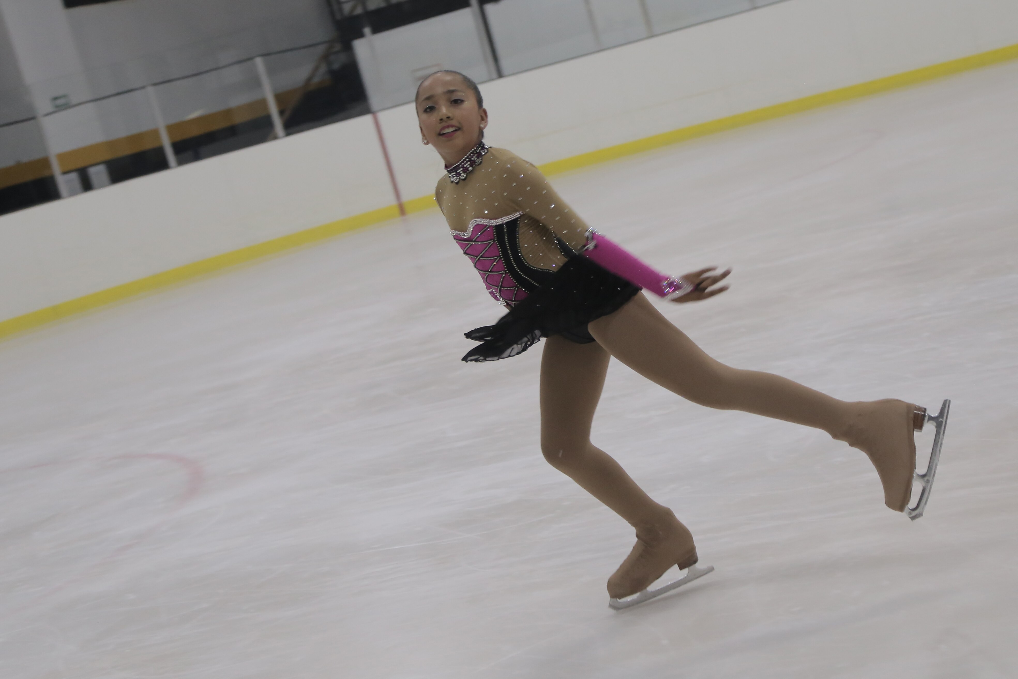 Emociones sobre hielo