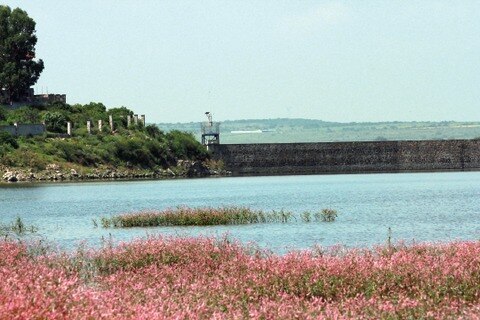 Presas del estado, llenas al 58%