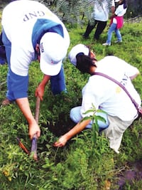 Hacer el bien reditúa a las empresas