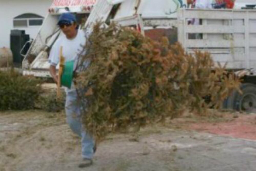 Recolectan más de 12 mil tons de basura