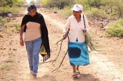 Realizan Jornada de Soluciones 