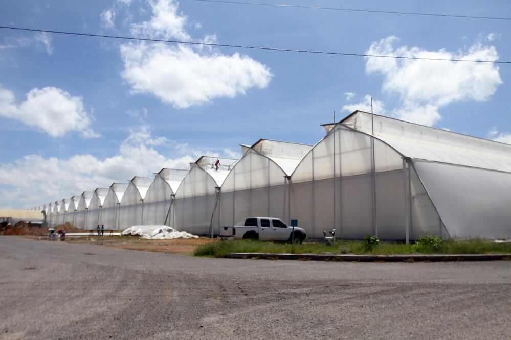 Prevé sector industrial crecimiento sostenido