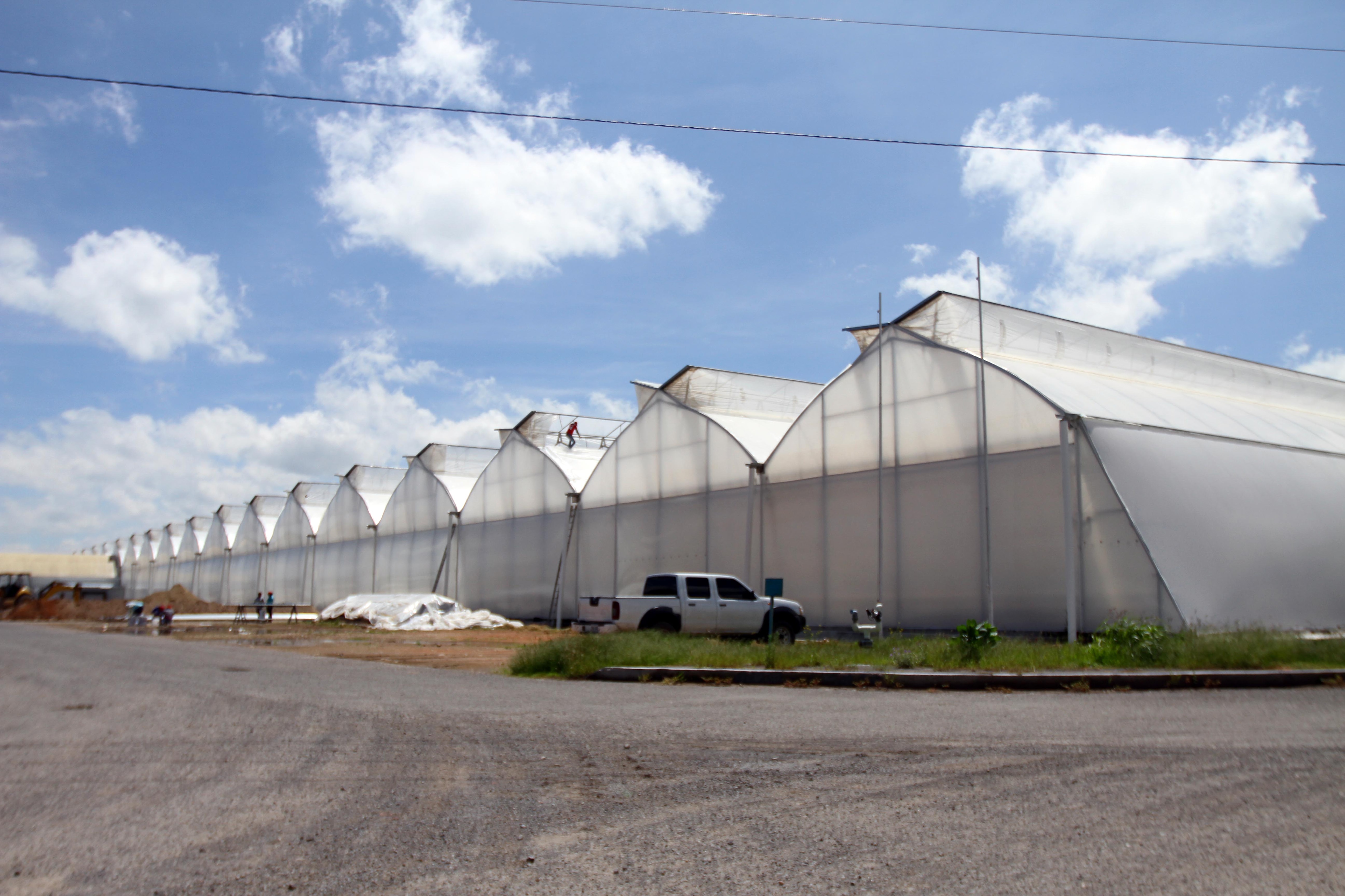 Prevé sector industrial crecimiento sostenido