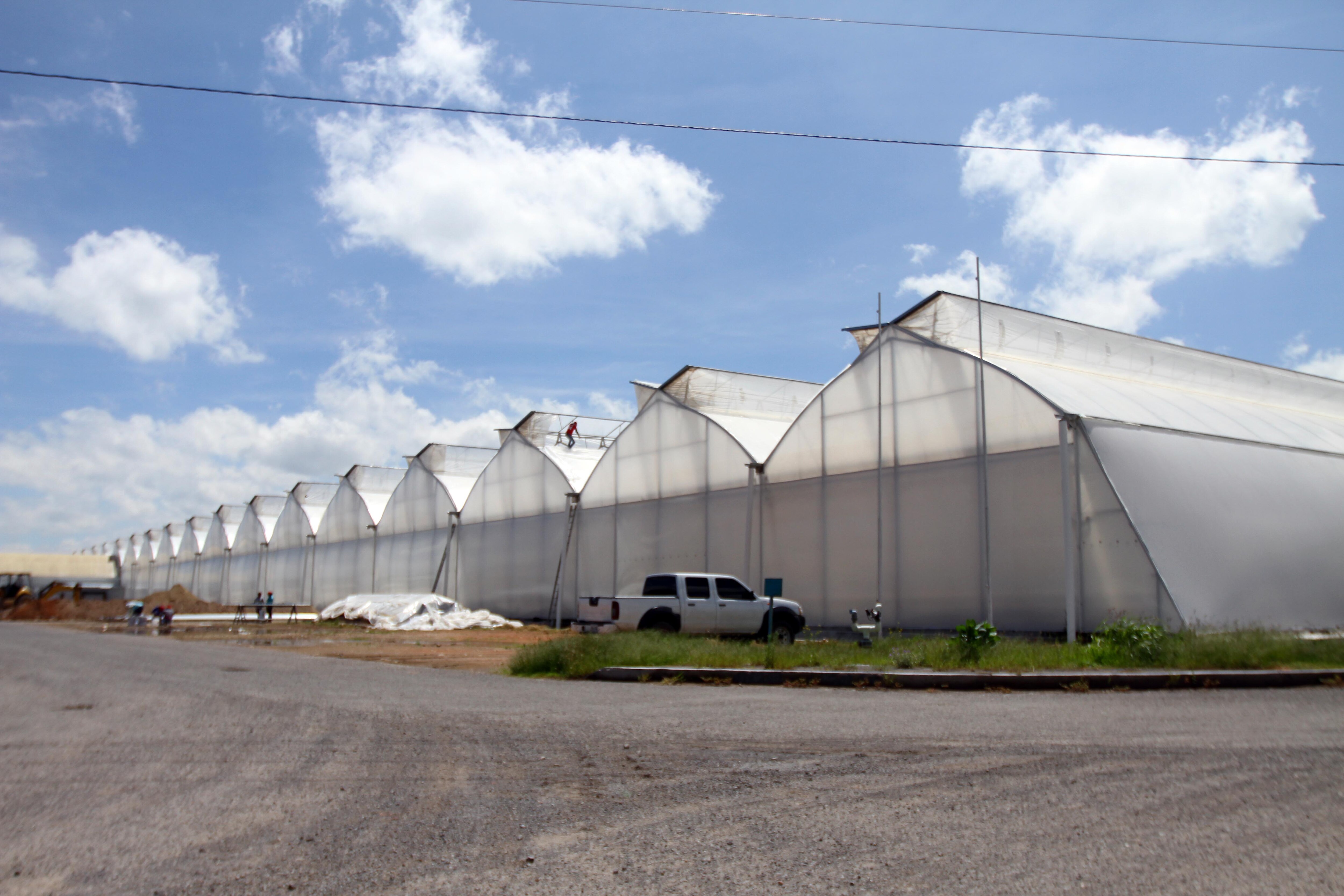 Prevé sector industrial crecimiento sostenido