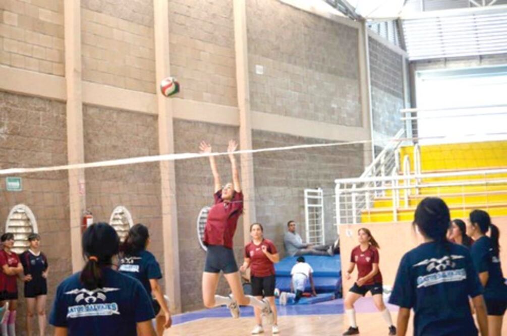 Voleibolistas en tercera jornada