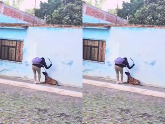 Captan a mujer agrediendo a una perrita en Querétaro