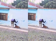Captan a mujer agrediendo a una perrita en Querétaro