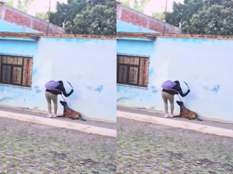 FOTO. CAPTURA DE PANTALLA