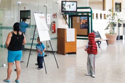 Demandan espacios óptimos 