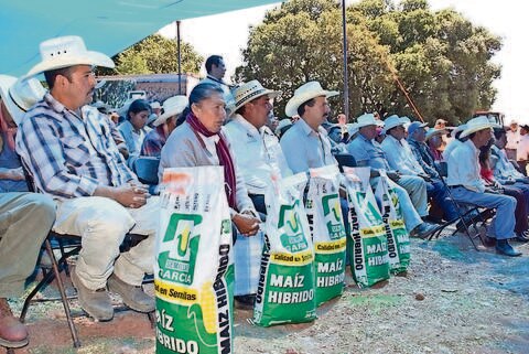 Destina la Sagarpa 250 mdp en apoyo para el campo