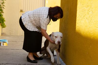 Así es un día en la vida de Celia Maya, candidata de Morena a la gubernatura de Querétaro