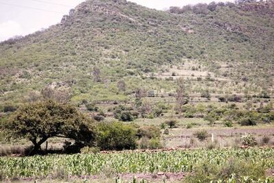 En peligro, bosques de San Juan