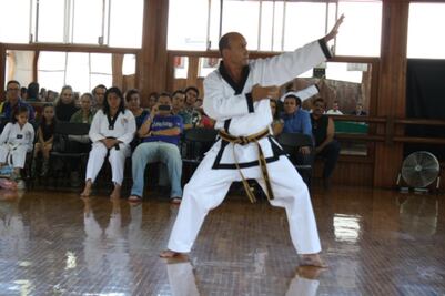 Semillero de taekwondoínes