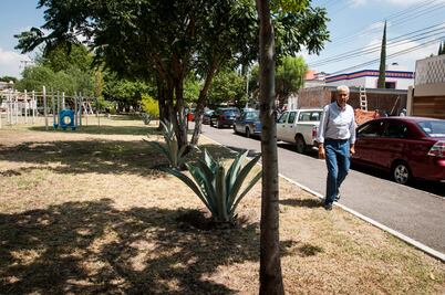 Limpian en capital 15 mil lotes baldíos