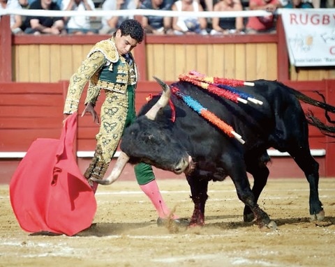 Se reanuda la búsqueda de torero