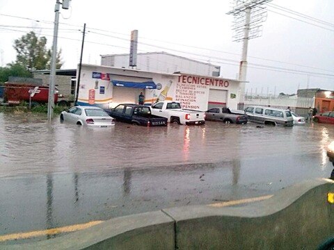 Coyotillos, en riesgo por apatía de la CEC 