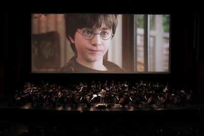 Harry Potter sigue emocionando a chicos y grandes