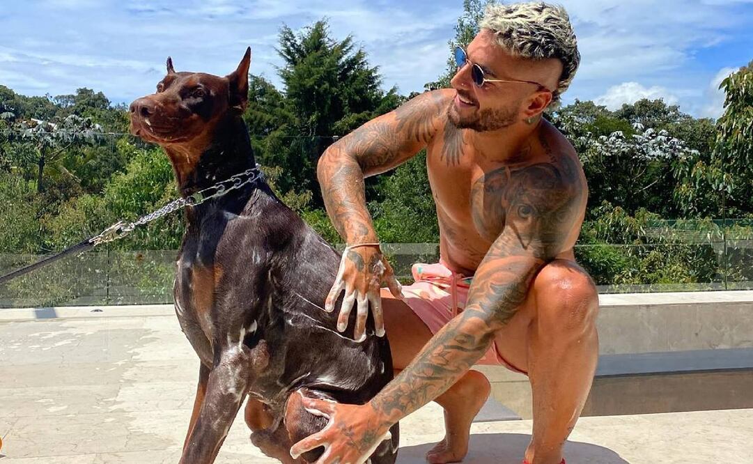 Maluma es atacado por Buda, su perro dóberman