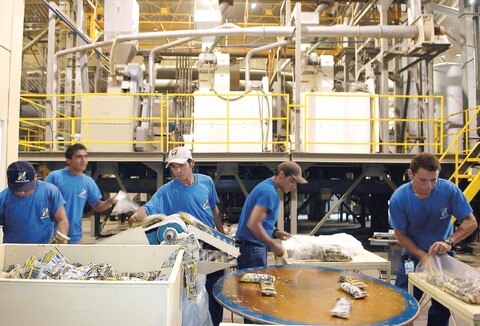 Una recuperación incipiente