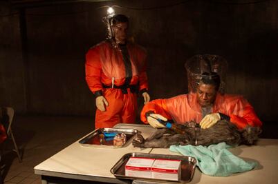 El origen del Ébola infectará la televisión