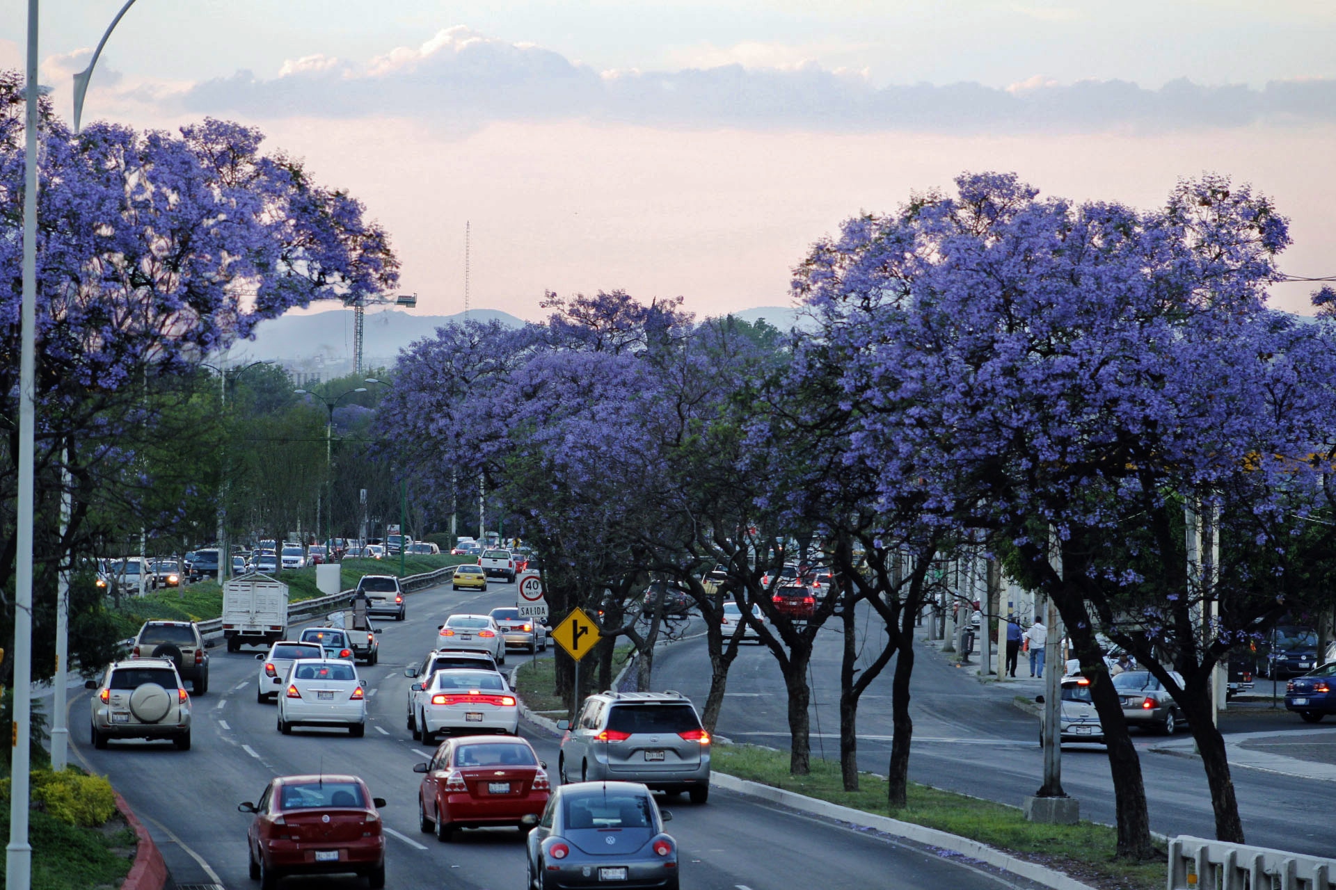 Capital de Querétaro ya cuenta con Instituto de Ecología