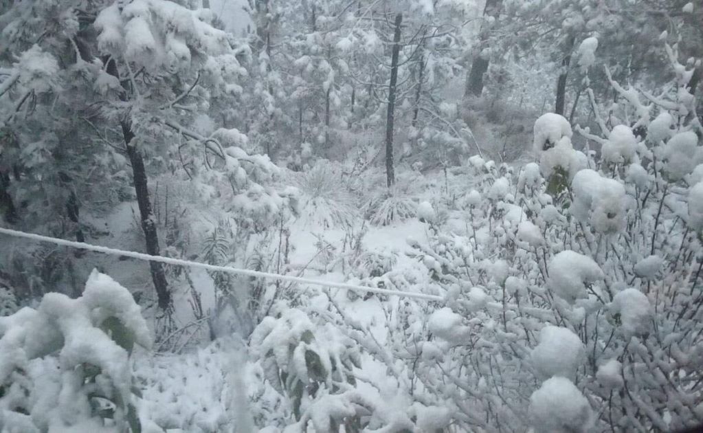 El Edomex amanece nevado: Jocotitlán sorprende con paisaje invernal