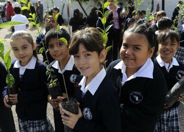 Inculcan cultura ambiental