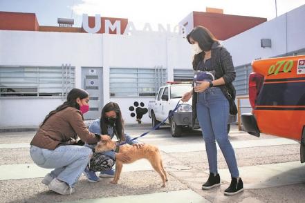 Bruna ya tiene familia. Sus adoptantes vinieron desde Guadalajara, tras conocer el caso en redes sociales 