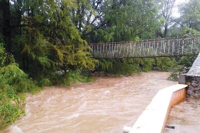 Campesinos pierden 1.6 mdp por las lluvias