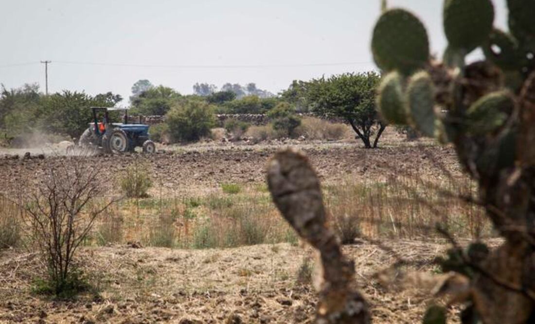 Foto: Archivo. El Universal