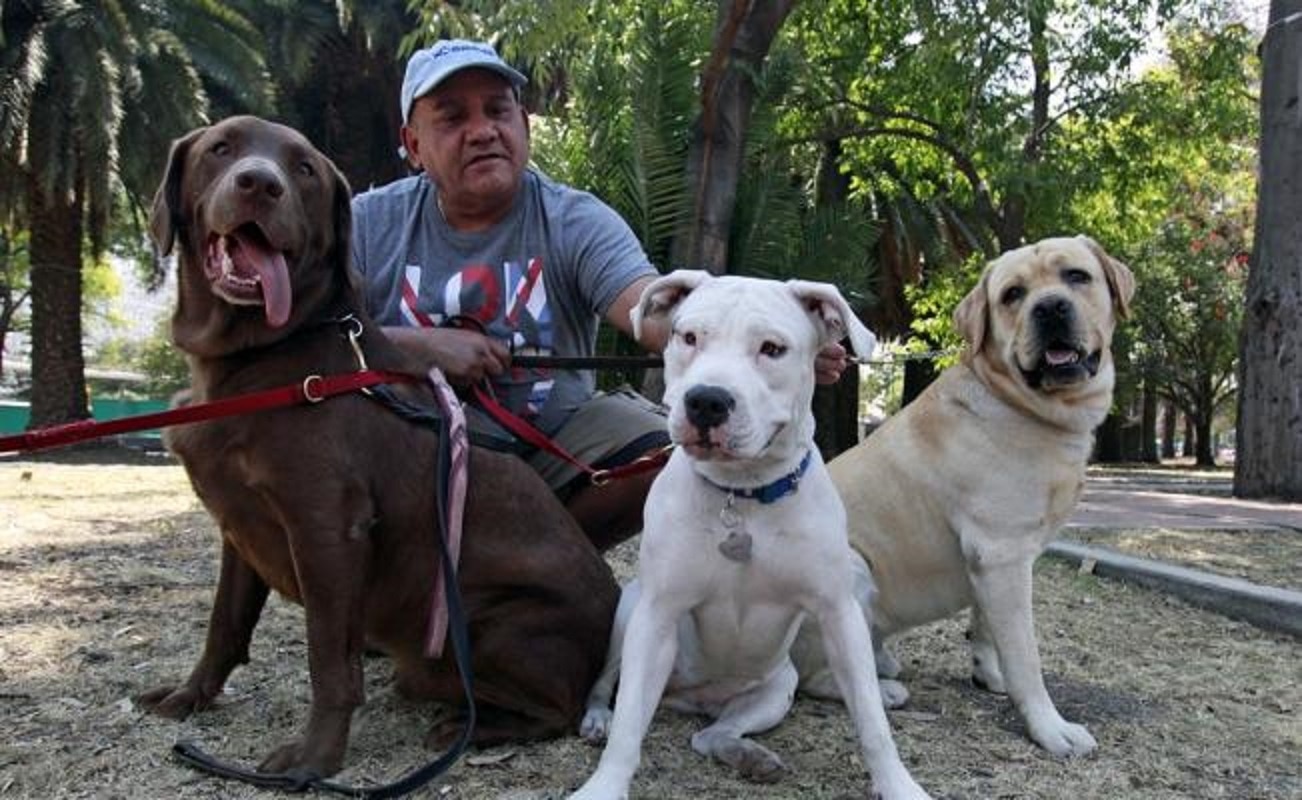 Foto: Archivo. EL UNIVERSAL