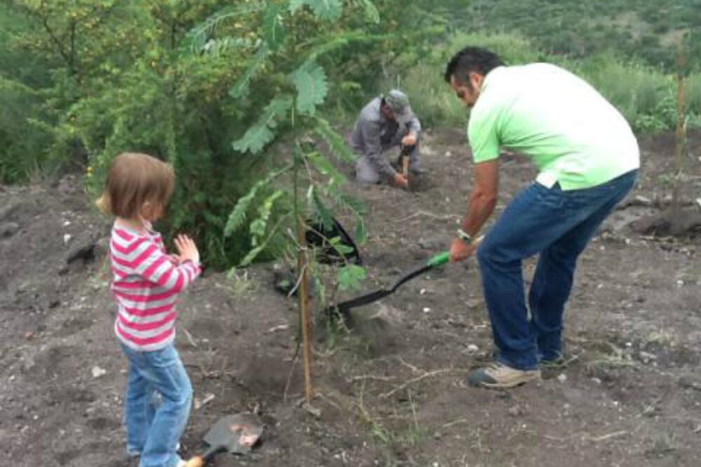 Sembrará FIQMA 18 mil árboles