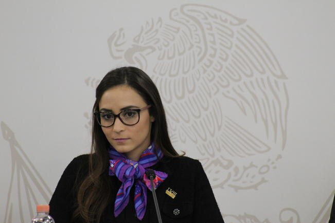 “No buscaré candidatura con el PRI”: María Alemán