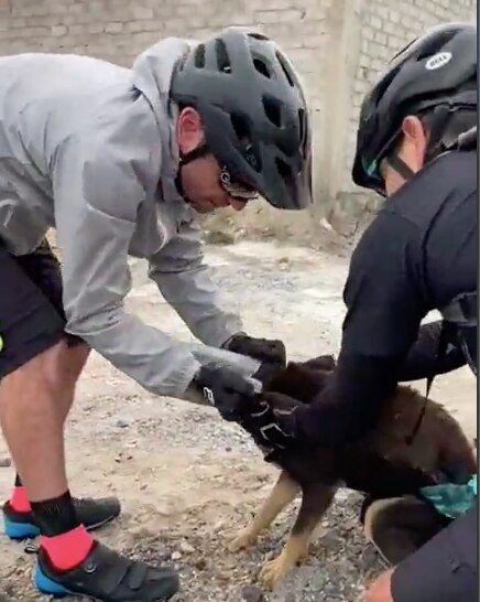 Video. Lomito se atora en botella de pet; lo rescatan ciclistas en Querétaro