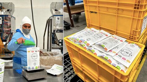 Reportan crecimiento de la economía estatal 