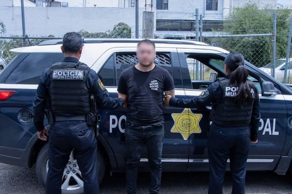 Detienen a hombre con un cocodrilo y un tejón mexicano en Querétaro; quedó a disposición de la FGR