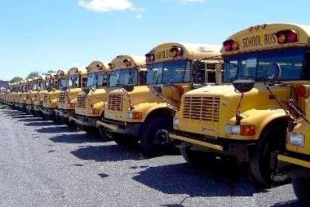 96 pruebas de alcohol