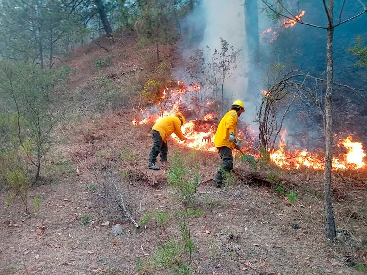 Van más de 130 hectáreas afectadas por incendios en Querétaro, durante el 2022