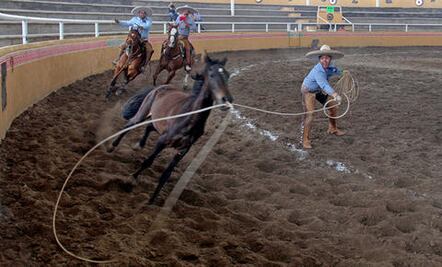 Sagrado Corazón, nuevo monarca