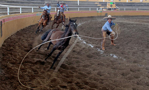 Sagrado Corazón, nuevo monarca