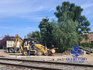 Ambientalistas marcarán árboles en riesgo por la obra del tren México-Querétaro