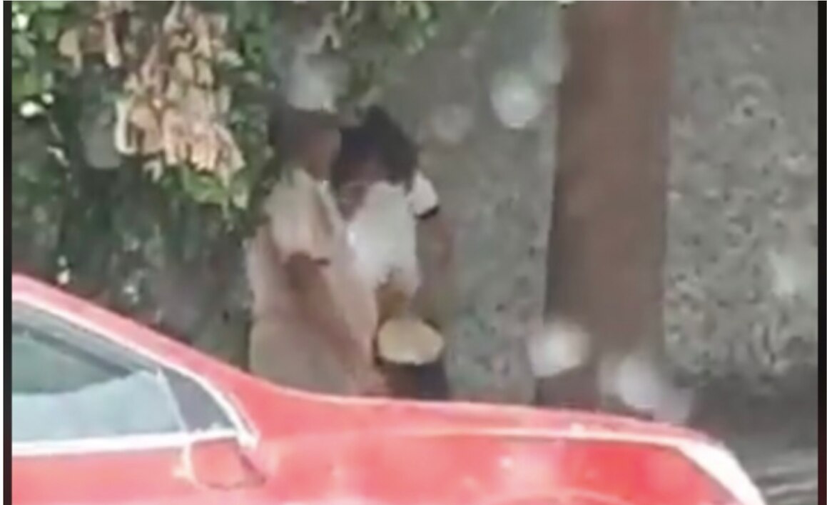 Foto: Captura de pantalla