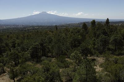 Hoy se celebra el Día Internacional de la Madre Tierra