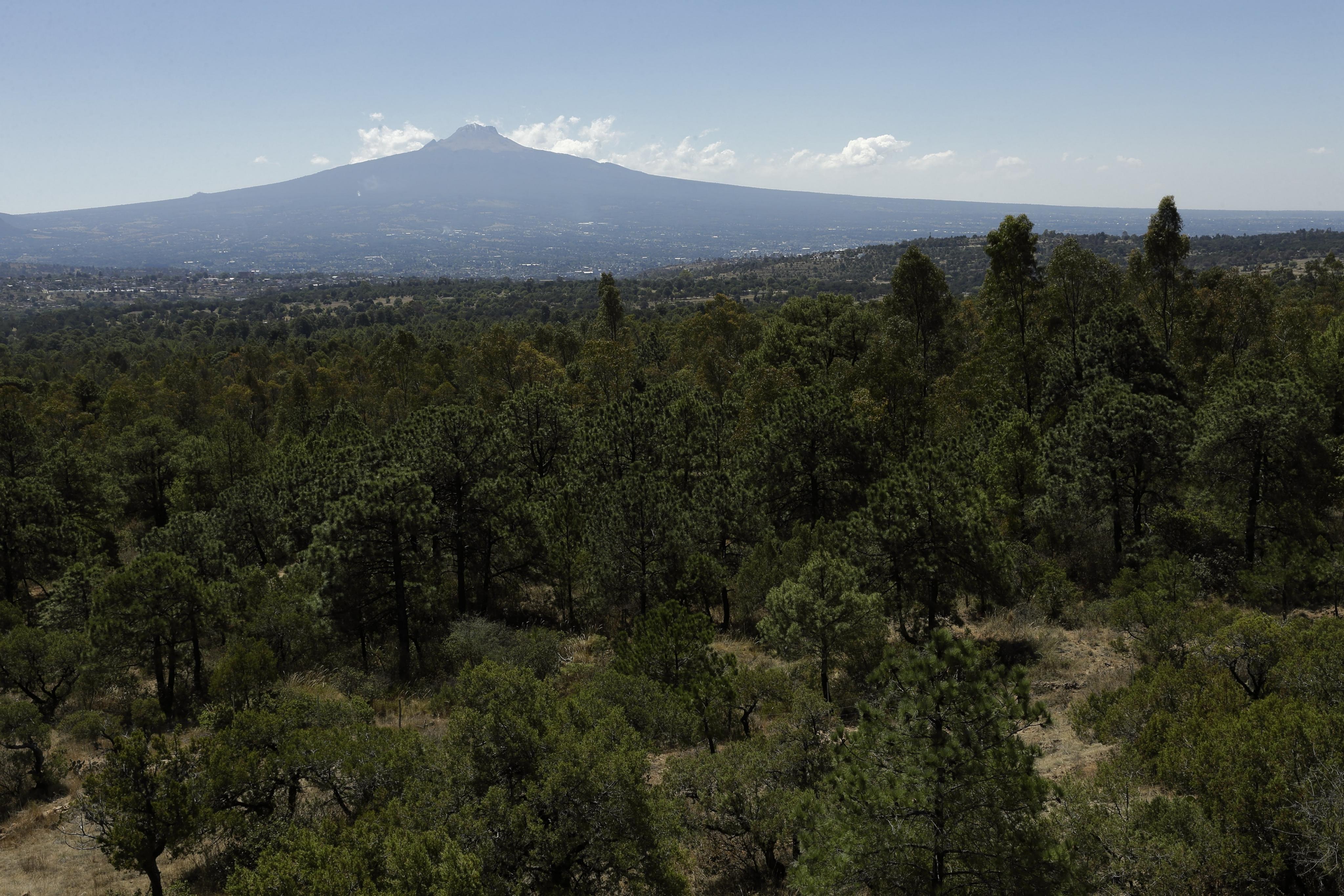 FOTO: Archivo El Universal