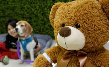 Xonacatlán, el pueblo mexicano que vive de fabricar peluches, se prepara para San Valentín