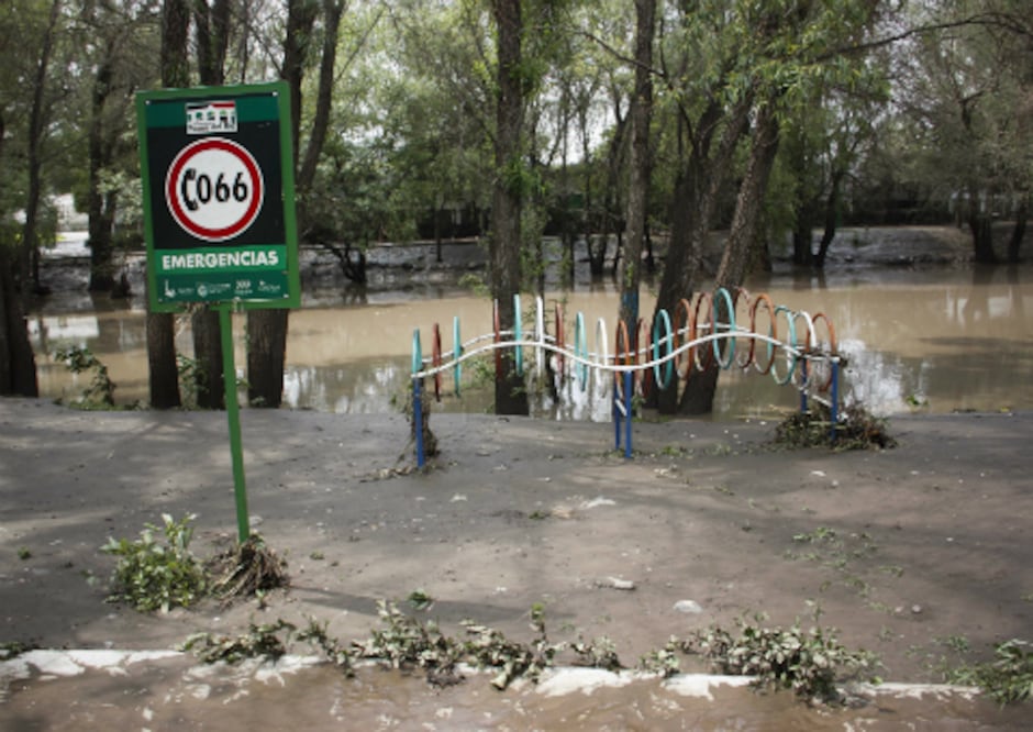 Mueren árboles en Río San Juan